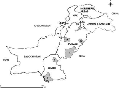 A Participatory Investigation of Bovine Health and Production Issues in Pakistan